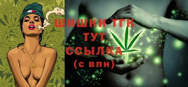 индика Переславль-Залесский