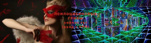 круглые Кодинск